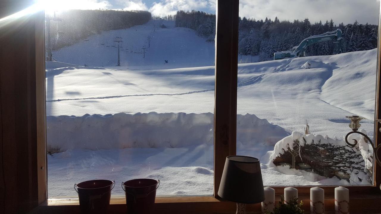 Pensjonat Laworta Ski Ustrzyki Dolne Ngoại thất bức ảnh