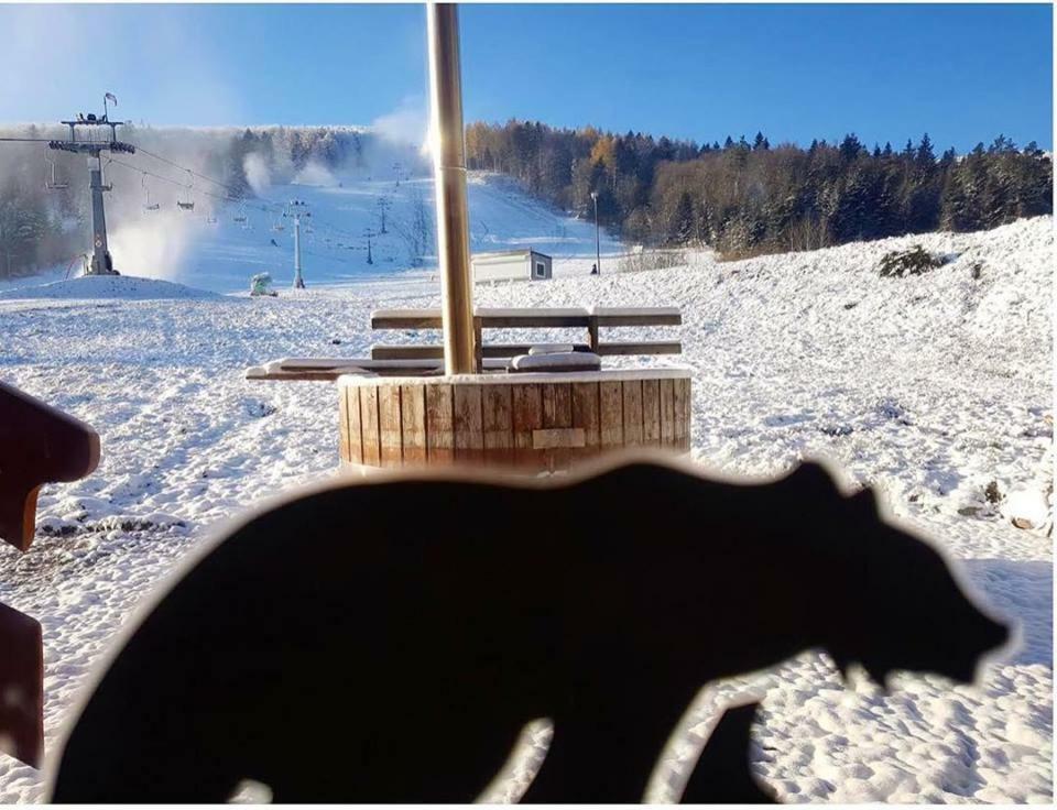 Pensjonat Laworta Ski Ustrzyki Dolne Ngoại thất bức ảnh