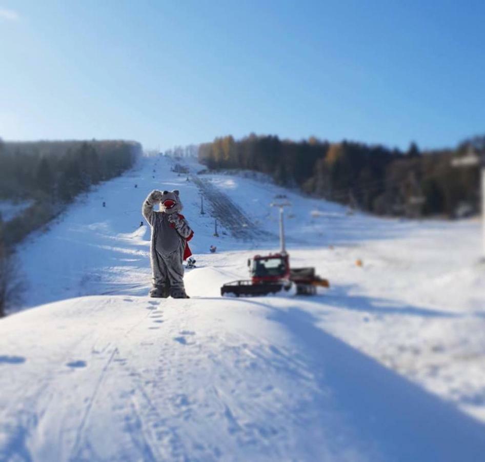 Pensjonat Laworta Ski Ustrzyki Dolne Ngoại thất bức ảnh